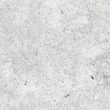 Gresie portelanata gri RAPOLANO 9100 model marmura 60x60 cm